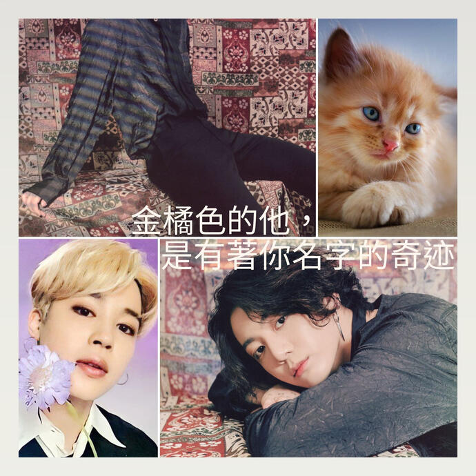 金橘色的他