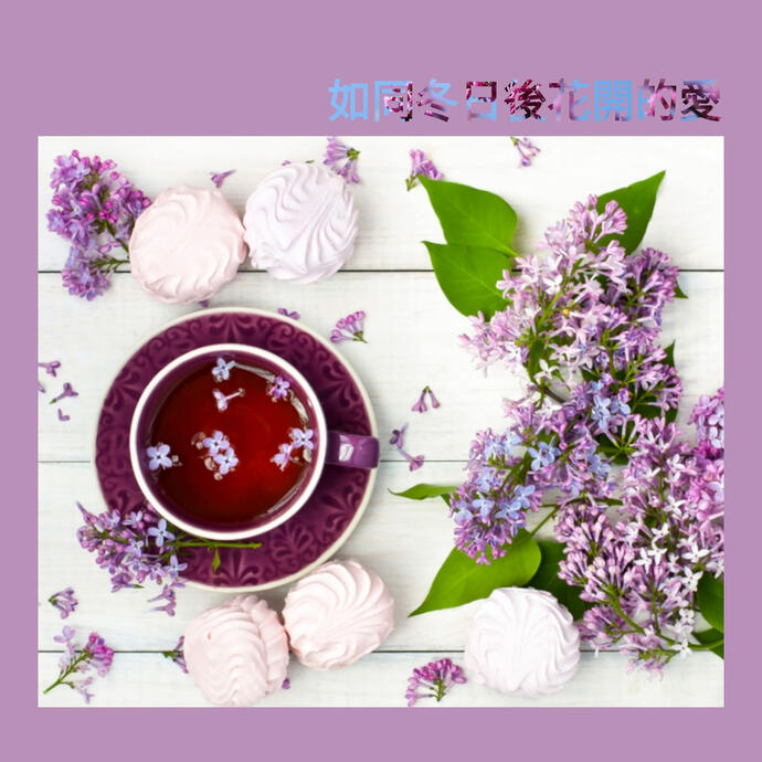 如同冬日後花開的愛