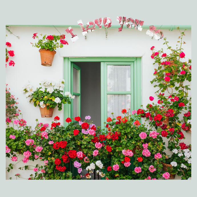 I love you so (短篇)(共5章)